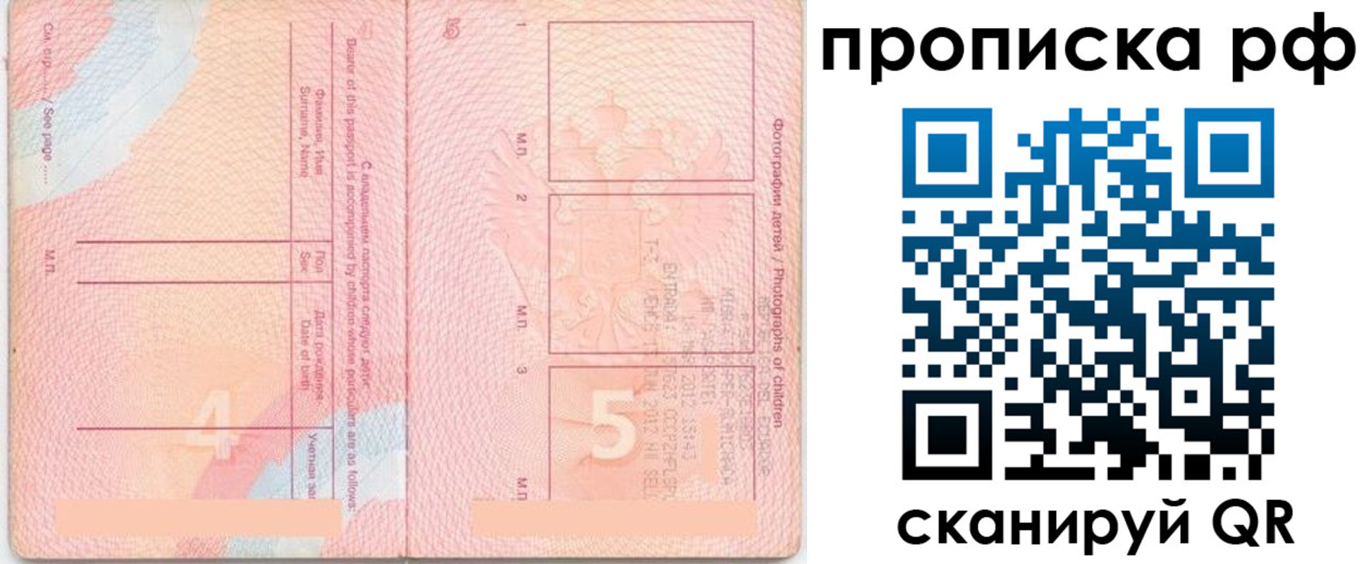 прописка иностранных граждан в Камчатской области